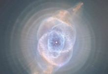 巨大的塵埃云可以攜帶來(lái)自垂死恒星的氣體使新恒星受精