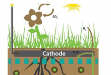 由植物供電的傳感器將信號發(fā)送到太空