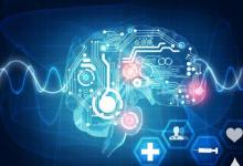 IBM的Watson中心向從廚師到工程師的所有人推廣AI