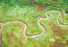 科學(xué)顧問(wèn)抨擊EPA的新溪流和濕地保護(hù)規(guī)則