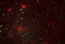 天文學家確定了附近恒星系中近3000個候選恒星