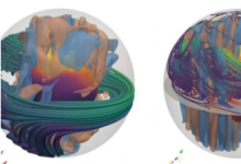 新生中子星內(nèi)部對流區(qū)中磁場線的3D快照