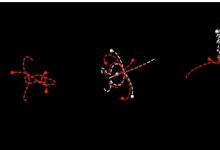 科學(xué)家發(fā)現(xiàn)時(shí)間對(duì)稱(chēng)性和物理定律