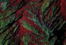 航空科學(xué)發(fā)現(xiàn)婆羅洲森林的復(fù)雜地貌控制