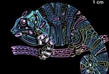 研究人員模仿自然環(huán)境進(jìn)行快速彩色的3D打印
