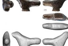 從垃圾堆中回收的古代鳥類雕像是東亞3D藝術(shù)的最古老實例