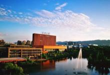 重慶大學在其官網上發(fā)布關于2020年度撤銷本科專業(yè)的公示