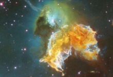 年輪可能是遙遠的超新星對地球影響的線索