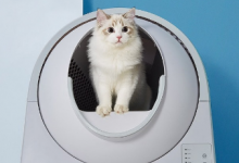 CATLINK青年自動(dòng)垃圾箱 眾籌新智能垃圾箱價(jià)格為999元