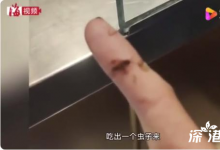 奶茶店1點(diǎn)點(diǎn)又出事:顧客喝出黑蟲