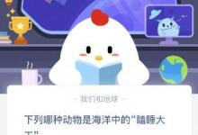 前沿手游：螞蟻莊園象群中擔(dān)任象群首領(lǐng)的一般是