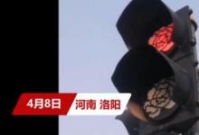 洛陽部分紅綠燈變成牡丹形狀大獲網(wǎng)友好評(píng)