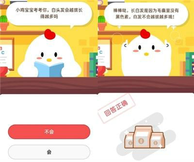 螞蟻莊園白頭發(fā)會越拔長得越多嗎答案 8月12日答案是什么