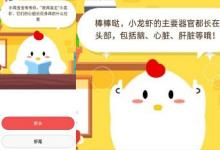前沿手游：小雞寶寶考考你“夜宵霸主”小龍蝦它們的心臟長在身體的什么位置?