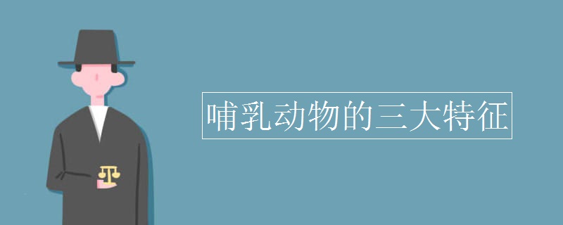 哺乳動(dòng)物的三大特征