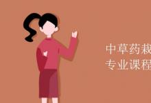 教育資訊:中草藥栽培與鑒定專業(yè)課程有哪些