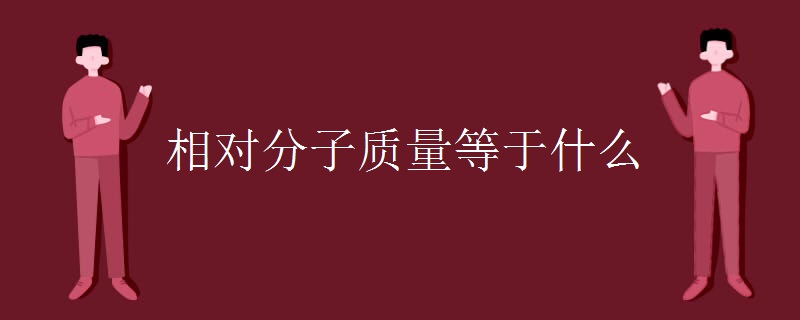 相對(duì)分子質(zhì)量等于什么