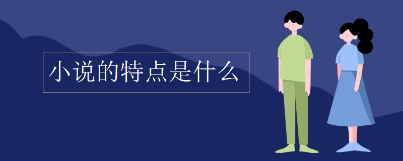 小說的特點是什么