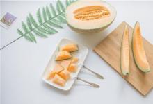 大暑養(yǎng)生的6個要點你學(xué)會了嗎