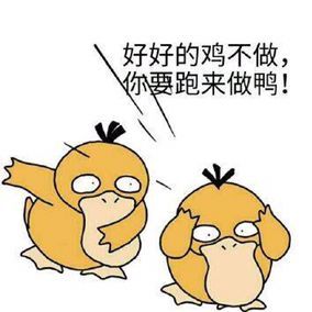 可達(dá)鴨頭像表情包是什么梗 可達(dá)鴨表情包一覽
