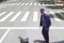 警方通報(bào)男子將女友推向公交車具體是什么情況