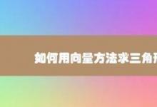 教你如何用向量方法求三角形面積技巧