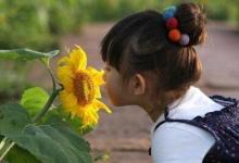 如何在幼兒園繪本教學(xué)的價(jià)值與實(shí)施策略