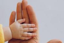 如何在促進(jìn)幼兒語(yǔ)音發(fā)展的多種手段
