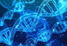 研究人員表明可以從空氣中收集動物DNA