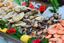 寶寶發(fā)燒不能吃的食物是什么呢分享