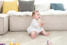 羊初乳和牛初乳的區(qū)別分別是什么