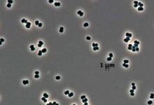 行星保護太空法旨在防止其他行星受到污染
