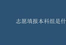 教育資訊:志愿填報(bào)本科組是什么