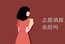教育資訊:志愿填報(bào)只能填一個(gè)專業(yè)組嗎