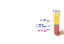 日常生活：血漿是什么