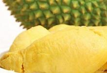 日常生活：榴蓮沒(méi)熟打開(kāi)后怎么辦