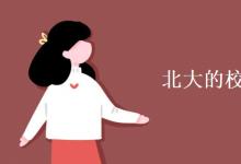 教育資訊：北大的?；帐钦l設計