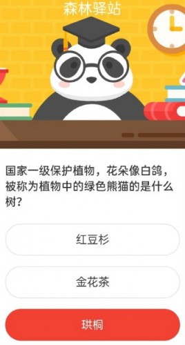 國(guó)家一級(jí)保護(hù)植物花朵像白鴿被稱為植物中的綠色熊貓的是什么樹? 森林驛站7月14日