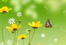 日常生活：關(guān)于三月你好的唯美句子有哪些
