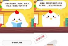 前沿手游：小雞寶寶考考你在夏天青蛙為什么會“呱呱呱”地叫個不停?