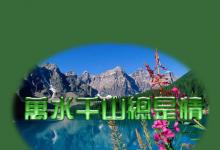 日常生活:萬水千山總是情下一句是什么
