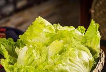 日常生活:100g大白菜和檸檬哪個(gè)含維生素c高