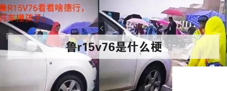 魯r15v76是什么梗
