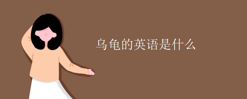 烏龜?shù)挠⒄Z是什么