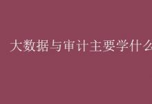 教育資訊：大數(shù)據(jù)與審計(jì)主要學(xué)什么課程