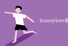 教育資訊:honeybee和bee的區(qū)別