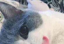 日常生活：咬舌自盡是真的能死人嗎