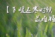 日常生活:乍暖還寒時候最難將息是什么意思