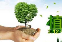 日常生活：植樹節(jié)的手抄報(bào)內(nèi)容寫什么