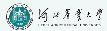 2021年河北農(nóng)業(yè)大學(xué)迎新系統(tǒng)入口